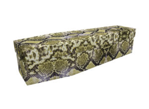 Cardboard coffin with an image of a snakeskin print