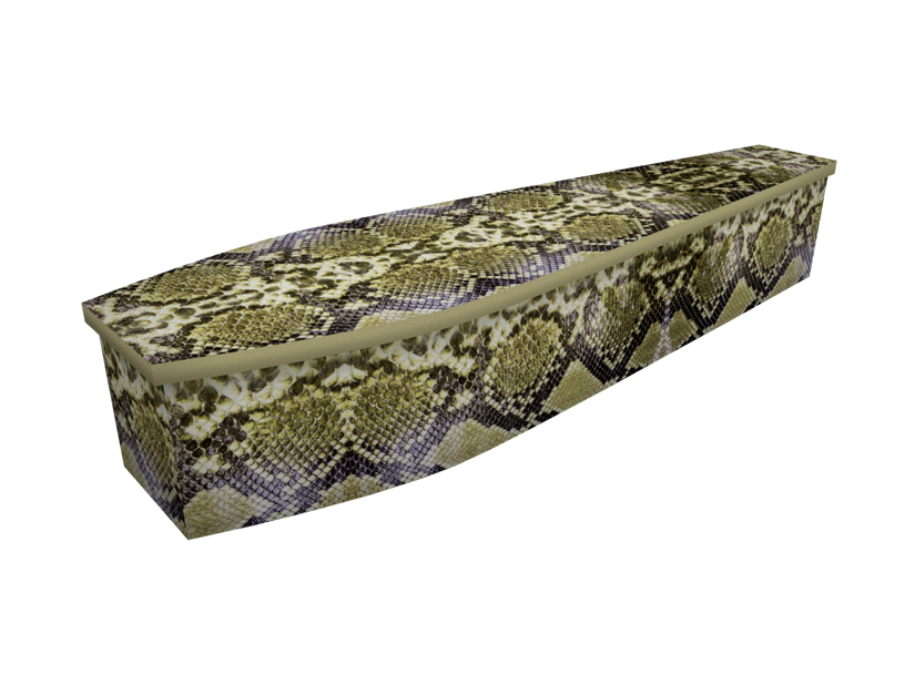 Cardboard coffin with an image of a snakeskin print