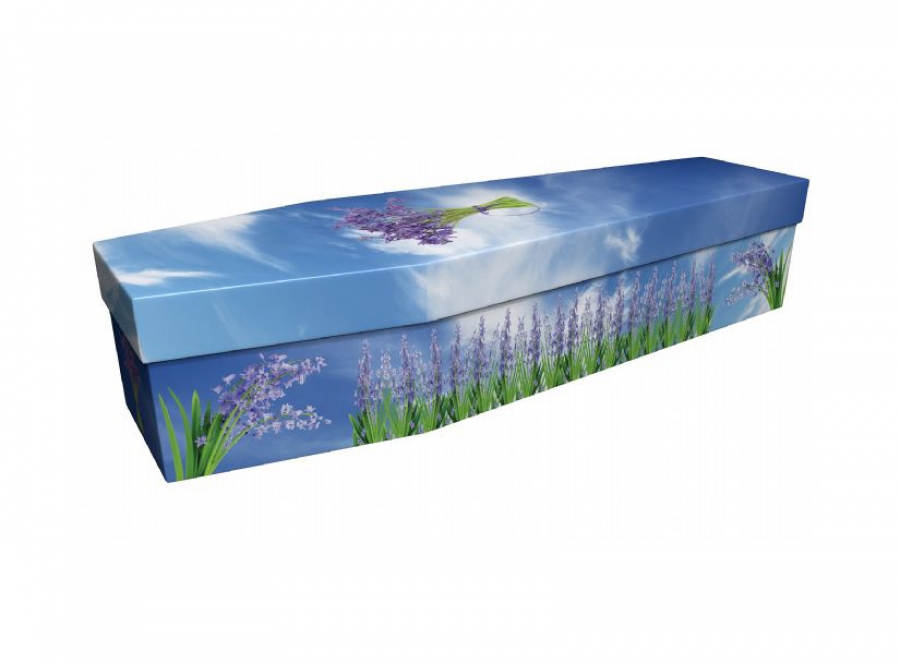 Beautiful Bluebell Cardboard Coffin - 3949