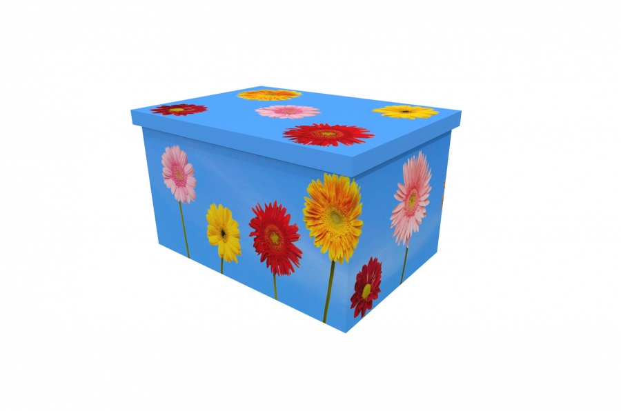 Cardboard Ash Casket - Floral Colour - 3974a