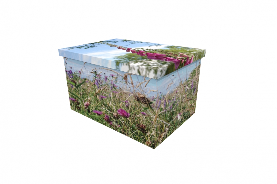 Cardboard Ash Casket - Higher Ground Meadow - 3904a