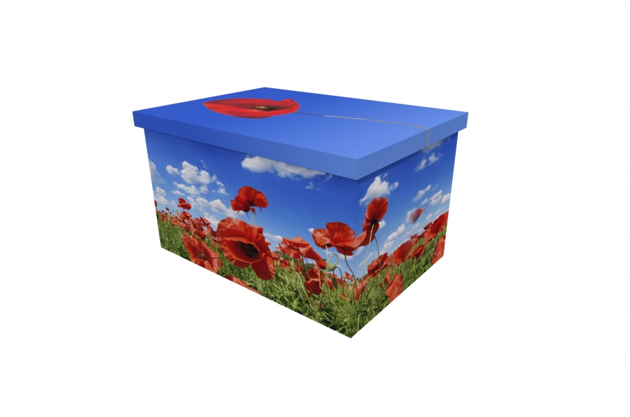 Cardboard Ash Casket - Poppy 1 - 3625a