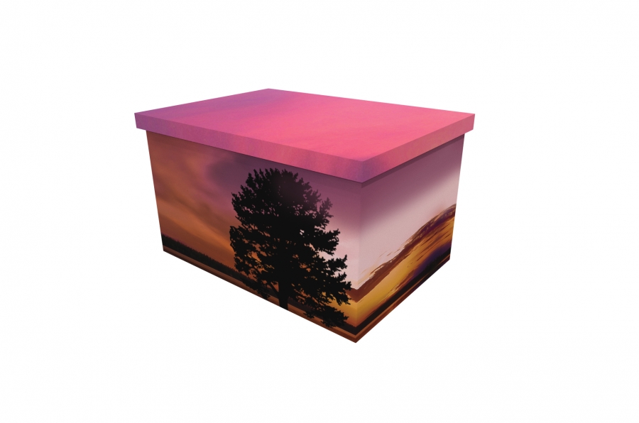 Cardboard Ash Casket - Purple Sky - 3890a