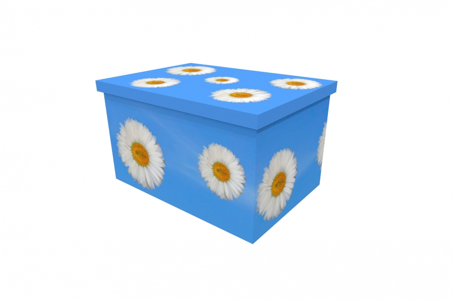 Cardboard Ash Casket - White Daisy - 3917a