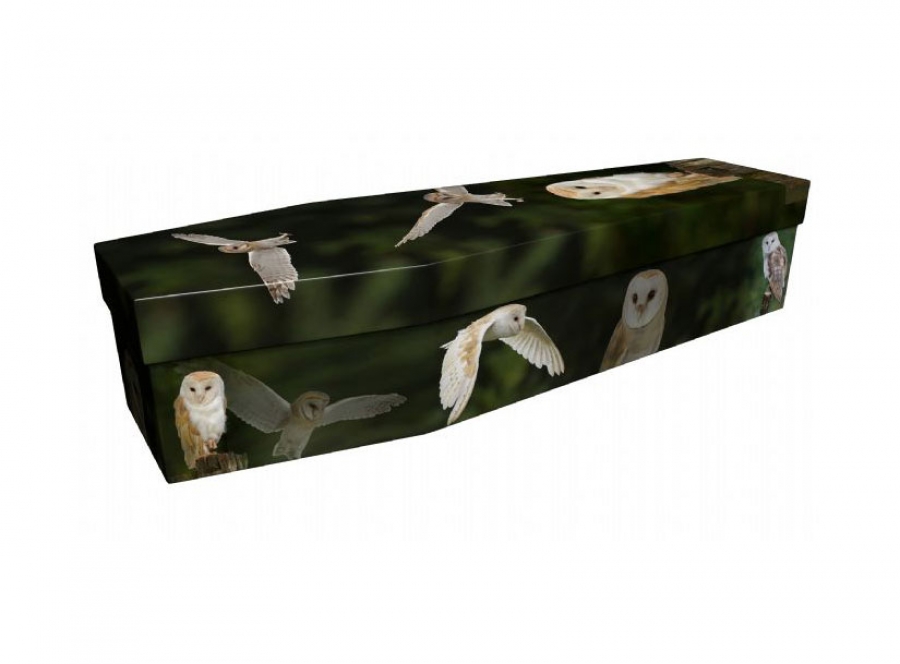 Cardboard coffin - Barn Owls - 3633