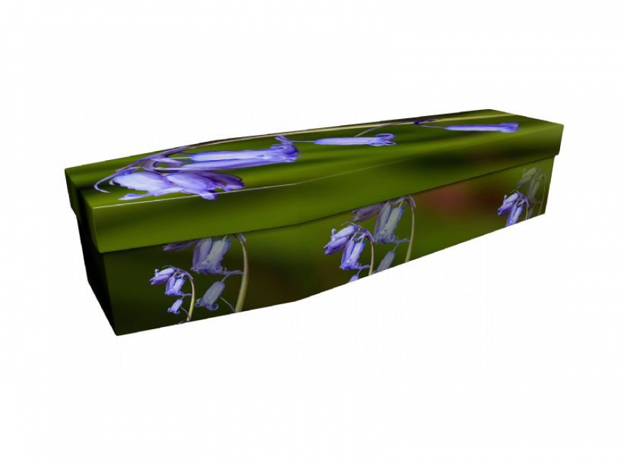 Cardboard coffin - Bluebell - 3935