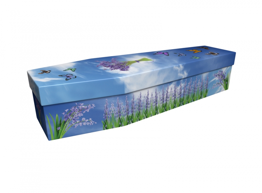 Cardboard coffin - Bluebell Butterflies - 3872
