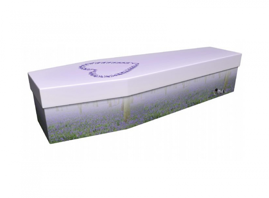 Cardboard coffin - Bluebells in Ashridge - 3693