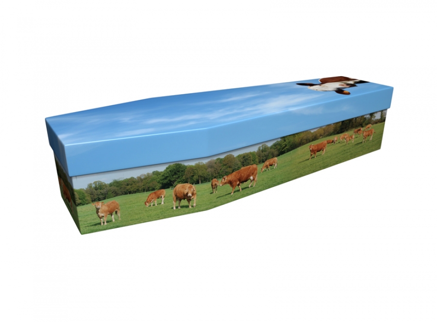 Cardboard coffin - Brown Cows - 3745