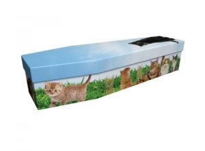 Cardboard coffin - Cats - 3878