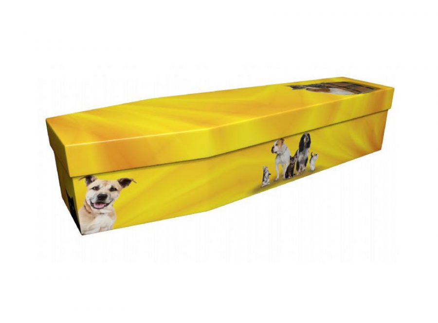 Cardboard coffin - Cats & Dogs - 3910