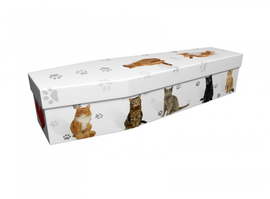 Cardboard coffin - Cats with Heart - 3877