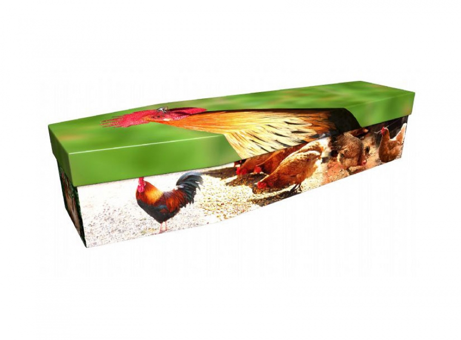 Cardboard coffin - Chickens - 3825