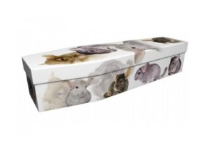 Cardboard coffin - Chinchillas - 3986