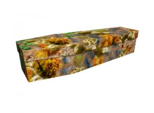 Cardboard coffin - Coral - 3602