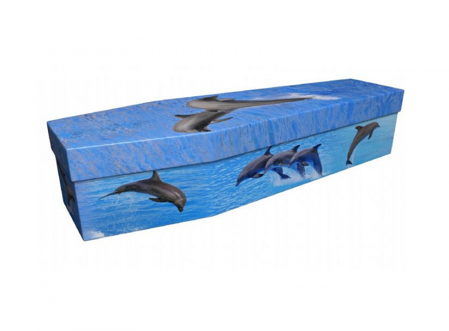 Cardboard coffin - Dolphins - 3937