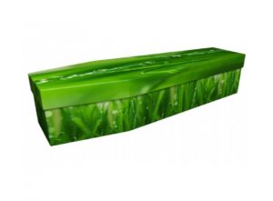 Cardboard coffin - Grass - 3945