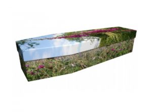 Cardboard coffin - Higher ground meadow - 3904