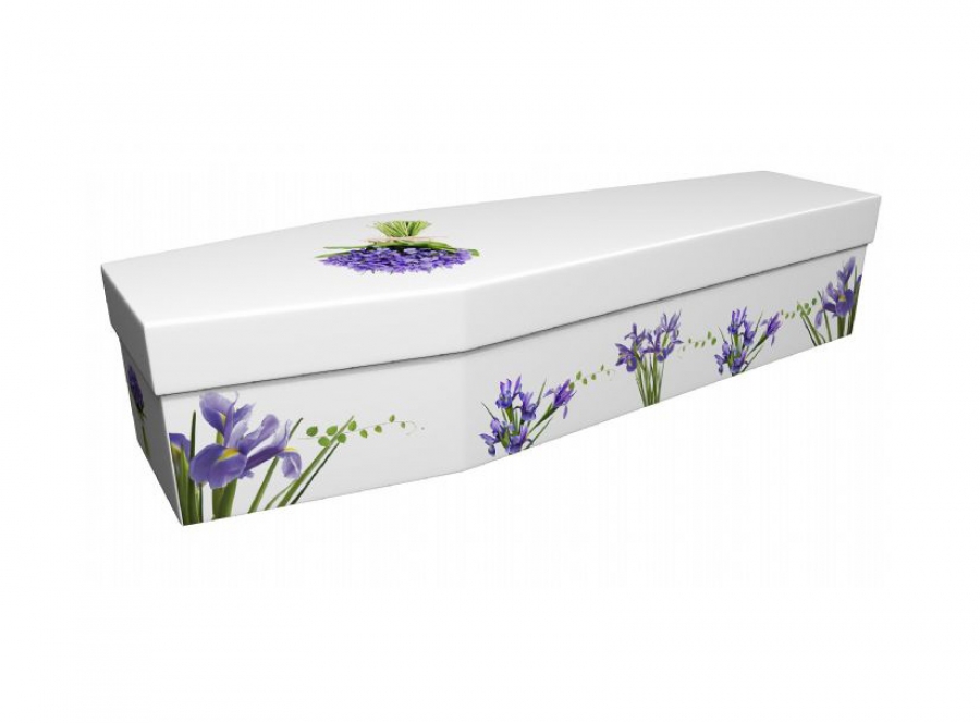 Cardboard coffin - Iris - 3922