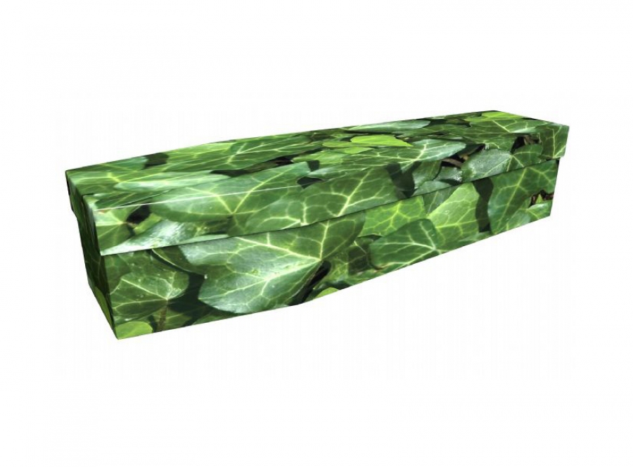 Cardboard coffin - Ivy - 3656