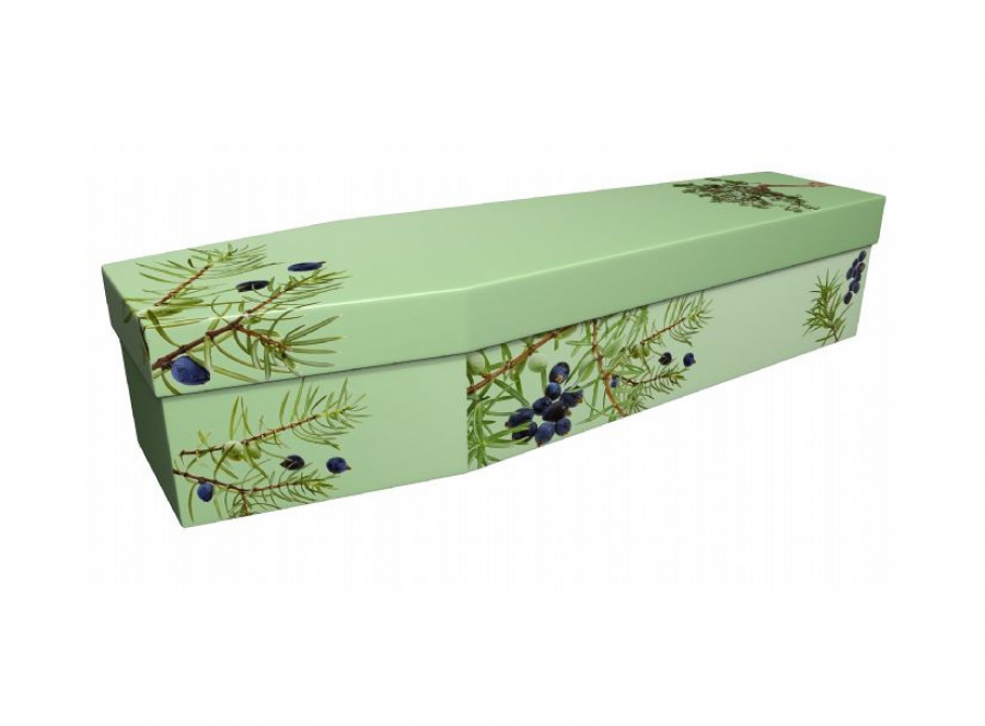 Cardboard coffin - Juniper on green - 3946