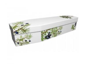 Cardboard coffin - Juniper on white - 3947