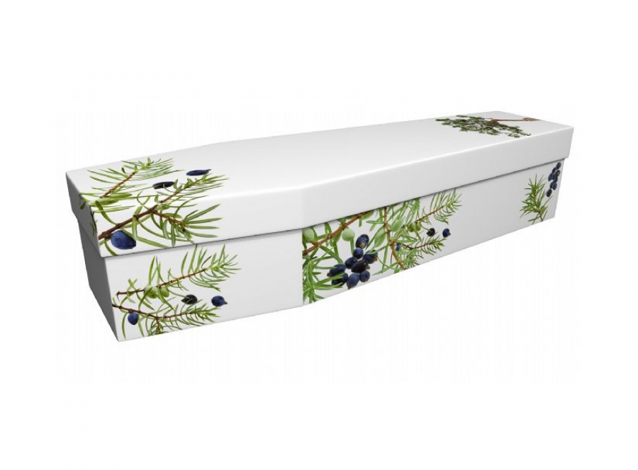 Cardboard coffin - Juniper on white - 3947