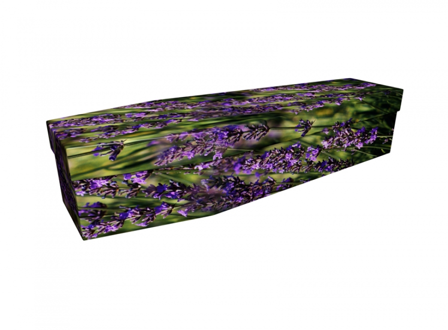 Cardboard coffin - Lavender Flower - 3853