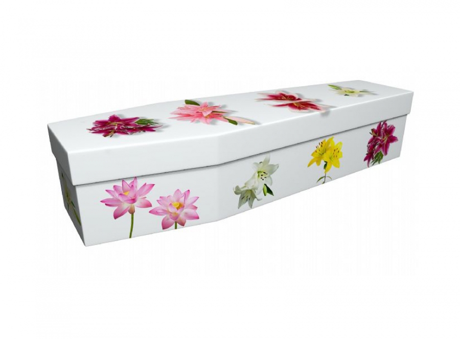 Cardboard coffin - Lily - 3770