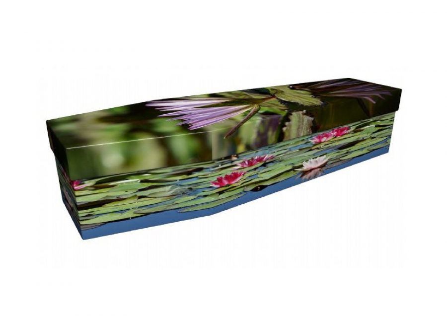 Cardboard coffin - Lily pond - 3964