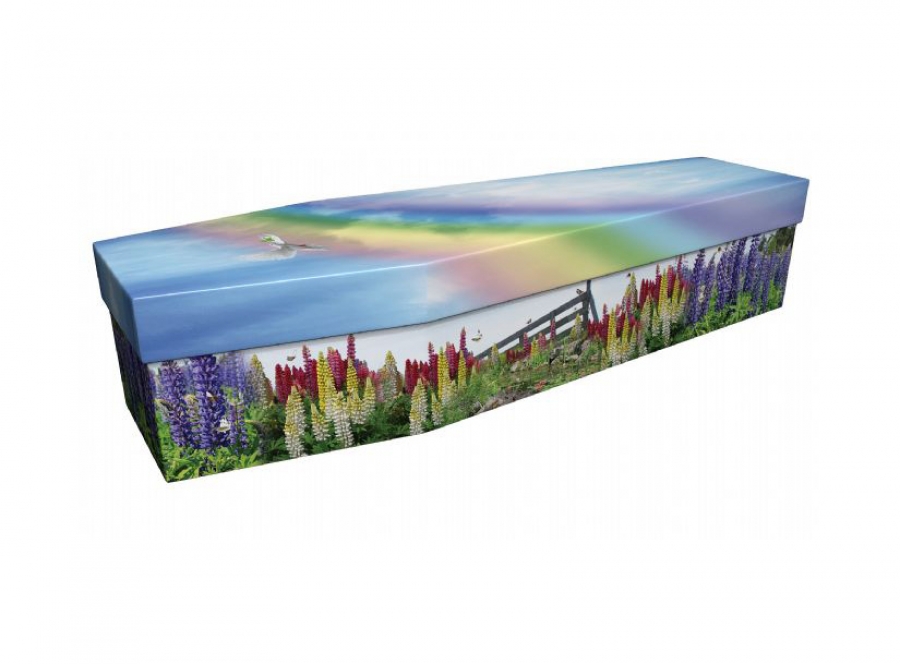 Cardboard coffin - Lupins - 3921