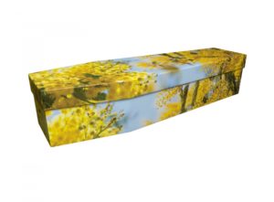 Cardboard coffin - Mimosa Blossom - 3859