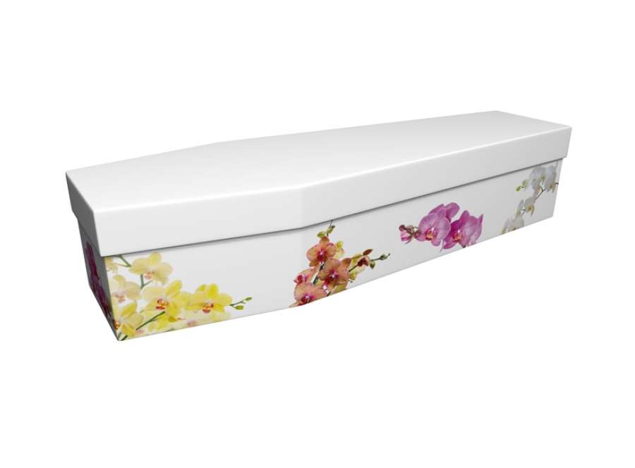 Cardboard coffin - Orchid - 3615