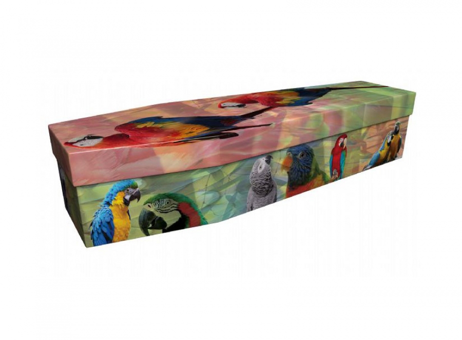 Cardboard coffin - Parrots and Macaws - 3991