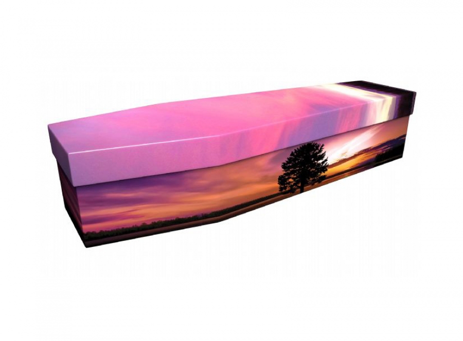 Cardboard coffin - Purple sky - 3890