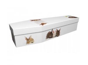 Cardboard coffin - Rabbits - 3950