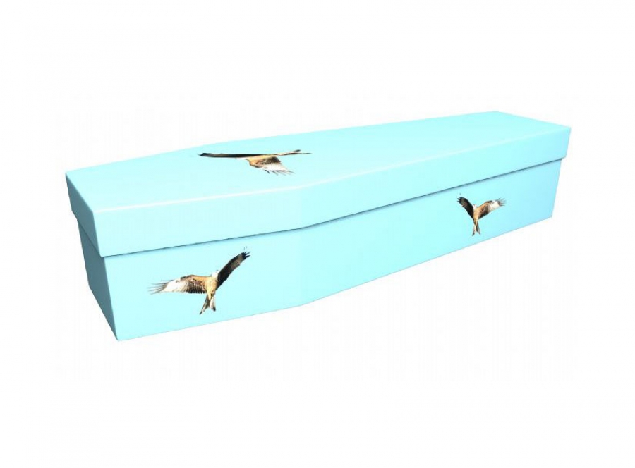 Cardboard coffin - Red kite - 3666