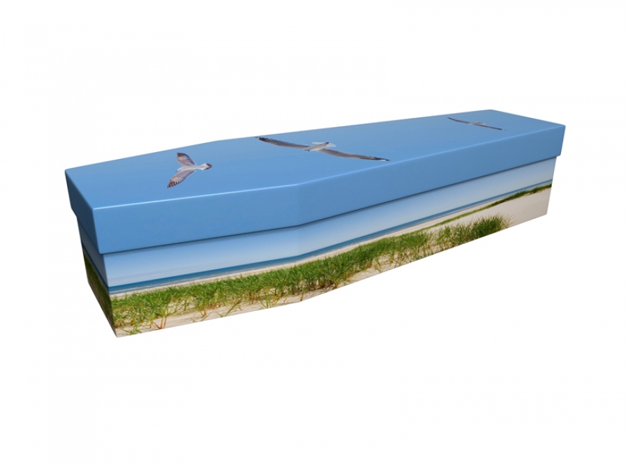 Cardboard coffin - Seagulls - 3607