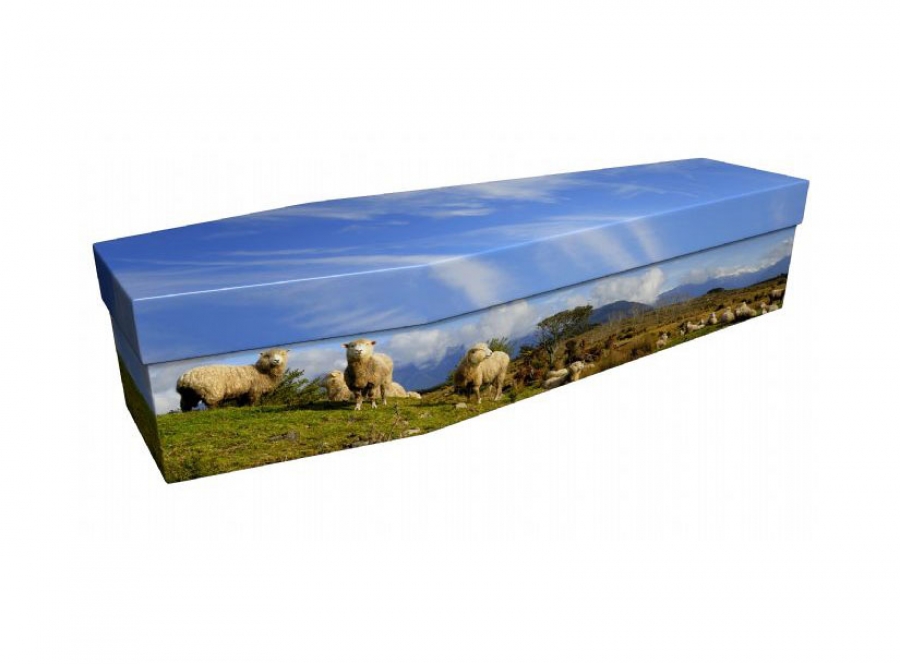 Cardboard coffin - Sheep - 3893