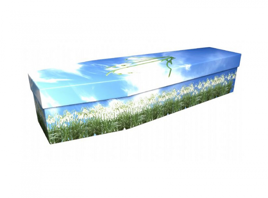 Cardboard coffin - Snowdrop - 3805