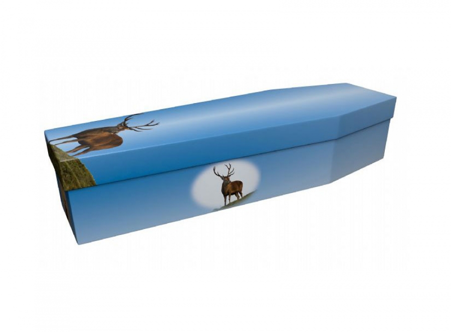 Cardboard coffin - Stag - 3808