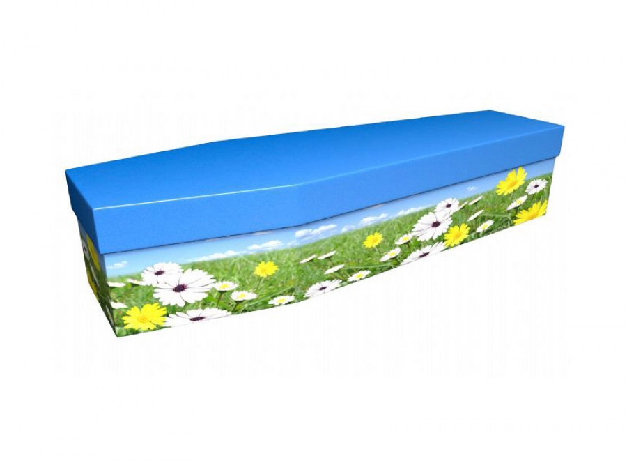 Cardboard coffin - Summer scene - 3785