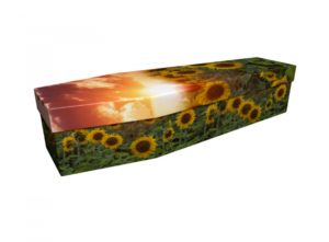 Cardboard coffin - Sunflower Sunset - 3851