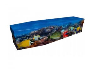 Cardboard coffin - Tropical fish - 3966