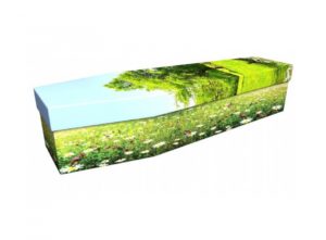 Cardboard coffin - Wild flower meadow - 3814