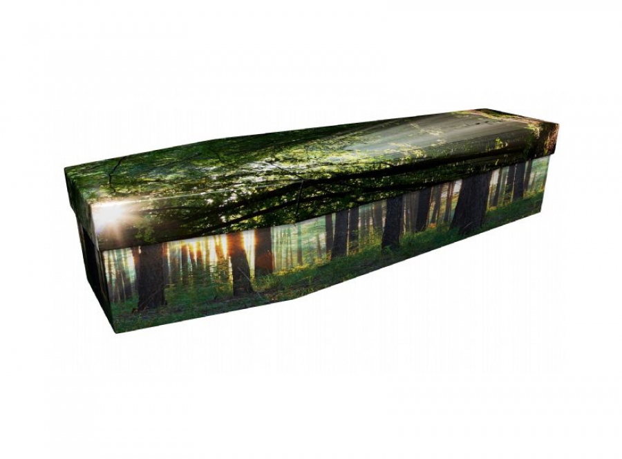 Cardboard coffin - Woodland sunburst - 3976