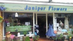 Juniper Flowers Shop