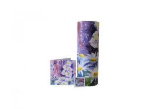 Scatter tube and Wildflower seeds - 9011