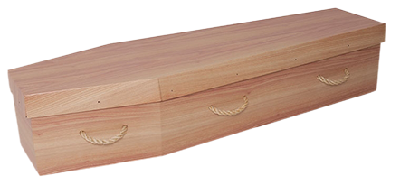 Standard Cardboard Coffin