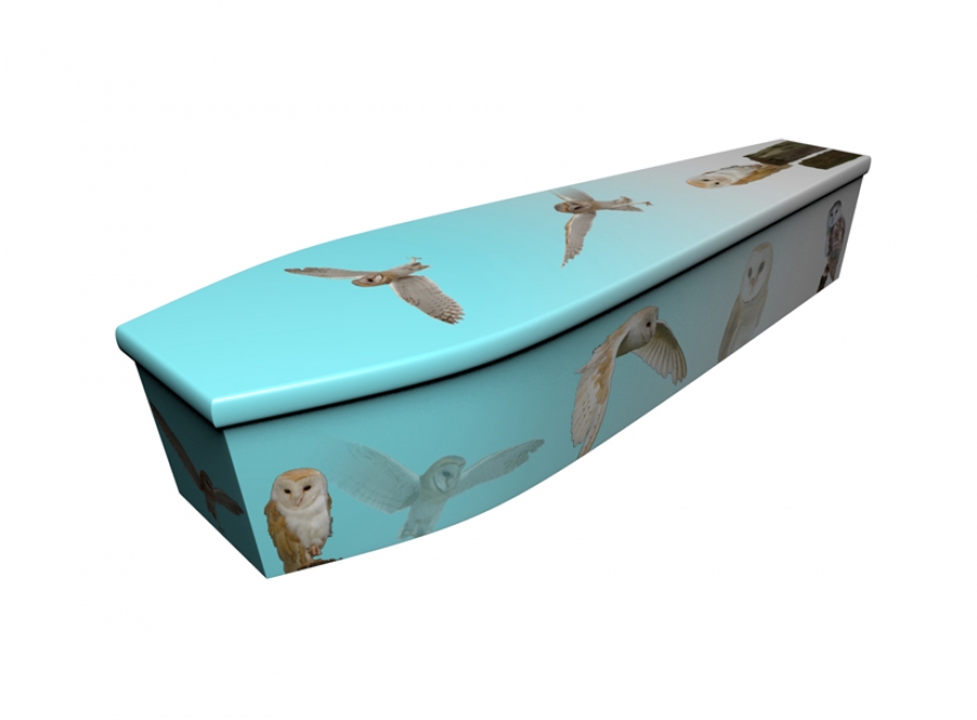 Wooden coffin - Barn Owls on Sky Blue - 4157